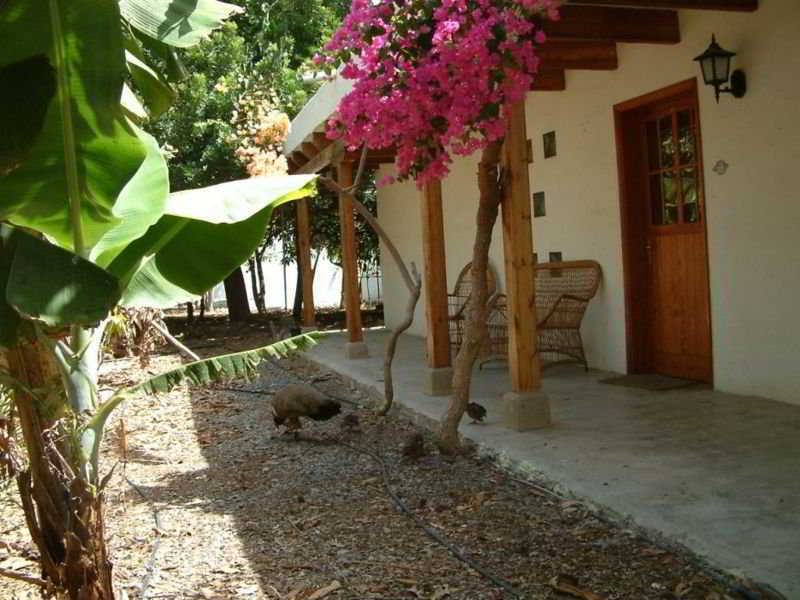 Cho Manuel Residence Maspalomas  Exterior foto